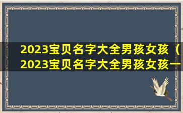 2023宝贝名字大全男孩女孩（2023宝贝名字大全男孩女孩一起取名）