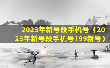 2023年新号段手机号（2023年新号段手机号199新号）