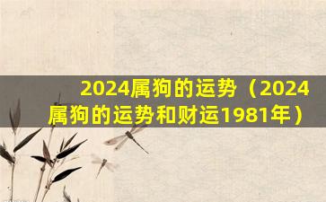 2024属狗的运势（2024属狗的运势和财运1981年）