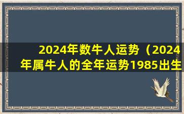 2024年数牛人运势（2024年属牛人的全年运势1985出生）