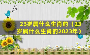 23岁属什么生肖的（23岁属什么生肖的2023年）