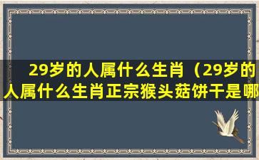 29岁的人属什么生肖（29岁的人属什么生肖正宗猴头菇饼干是哪个厂家生产的）