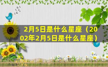 2月5日是什么星座（2002年2月5日是什么星座）