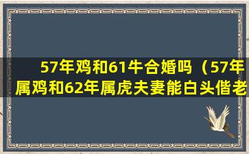 57年鸡和61牛合婚吗（57年属鸡和62年属虎夫妻能白头偕老吗）