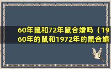 60年鼠和72年鼠合婚吗（1960年的鼠和1972年的鼠合婚不）