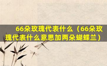 66朵玫瑰代表什么（66朵玫瑰代表什么意思加两朵蝴蝶兰）