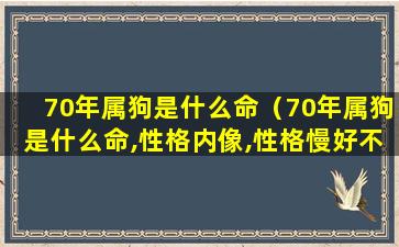 70年属狗是什么命（70年属狗是什么命,性格内像,性格慢好不好）