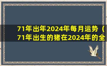 71年出年2024年每月运势（71年出生的猪在2024年的全年运势）