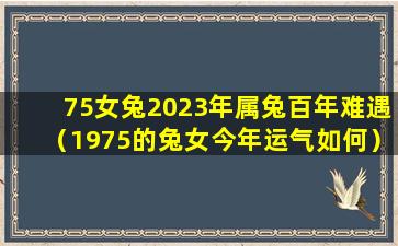 75女兔2023年属兔百年难遇（1975的兔女今年运气如何）