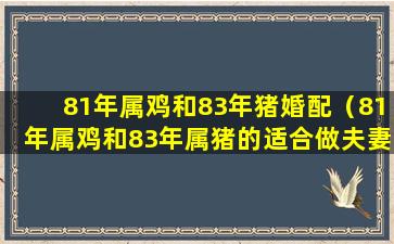 81年属鸡和83年猪婚配（81年属鸡和83年属猪的适合做夫妻吗）