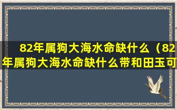 82年属狗大海水命缺什么（82年属狗大海水命缺什么带和田玉可以吗）