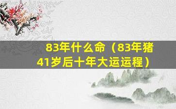 83年什么命（83年猪41岁后十年大运运程）