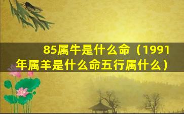 85属牛是什么命（1991年属羊是什么命五行属什么）