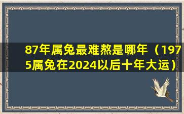 87年属兔最难熬是哪年（1975属兔在2024以后十年大运）