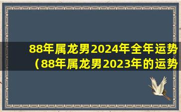 88年属龙男2024年全年运势（88年属龙男2023年的运势及每月运势）