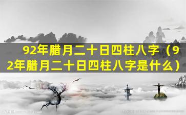 92年腊月二十日四柱八字（92年腊月二十日四柱八字是什么）