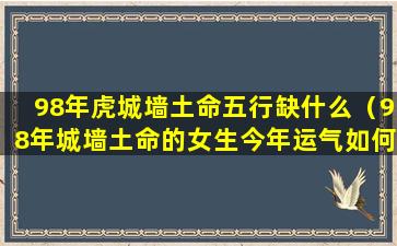 98年虎城墙土命五行缺什么（98年城墙土命的女生今年运气如何）