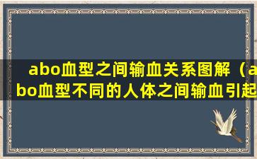 abo血型之间输血关系图解（abo血型不同的人体之间输血引起的反应）