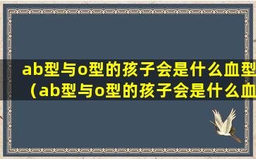 ab型与o型的孩子会是什么血型（ab型与o型的孩子会是什么血型造价师继续教育）