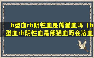 b型血rh阴性血是熊猫血吗（b型血rh阴性血是熊猫血吗会溶血吗）