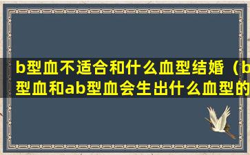 b型血不适合和什么血型结婚（b型血和ab型血会生出什么血型的孩子）