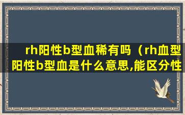 rh阳性b型血稀有吗（rh血型阳性b型血是什么意思,能区分性别吗）