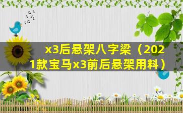 x3后悬架八字梁（2021款宝马x3前后悬架用料）