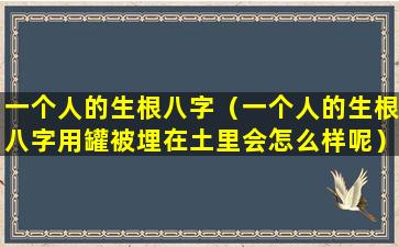 一个人的生根八字（一个人的生根八字用罐被埋在土里会怎么样呢）