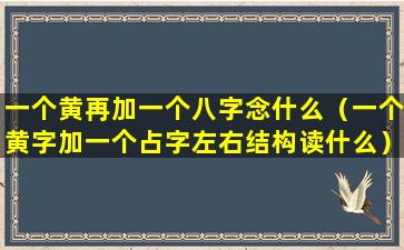 一个黄再加一个八字念什么（一个黄字加一个占字左右结构读什么）