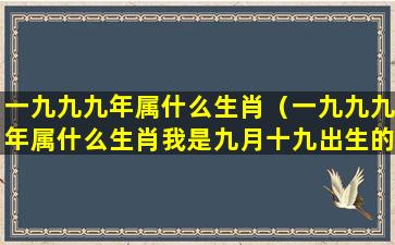 一九九九年属什么生肖（一九九九年属什么生肖我是九月十九出生的晚上十点）