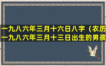 一九八六年三月十六日八字（农历一九八六年三月十三日出生的男孩）