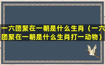 一六团聚在一朝是什么生肖（一六团聚在一朝是什么生肖打一动物）