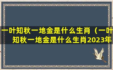 一叶知秋一地金是什么生肖（一叶知秋一地金是什么生肖2023年）