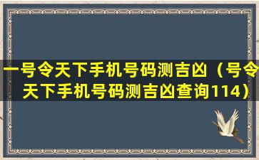 一号令天下手机号码测吉凶（号令天下手机号码测吉凶查询114）