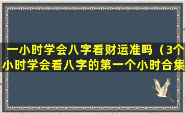 一小时学会八字看财运准吗（3个小时学会看八字的第一个小时合集）