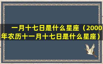 一月十七日是什么星座（2000年农历十一月十七日是什么星座）