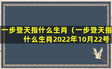 一步登天指什么生肖（一步登天指什么生肖2022年10月22号）