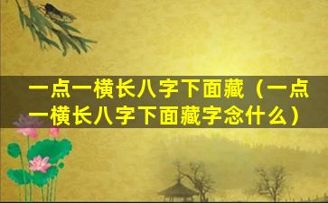 一点一横长八字下面藏（一点一横长八字下面藏字念什么）