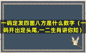 一码定发四面八方是什么数字（一码开出定头尾,一二生肖讲你知）