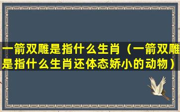 一箭双雕是指什么生肖（一箭双雕是指什么生肖还体态娇小的动物）