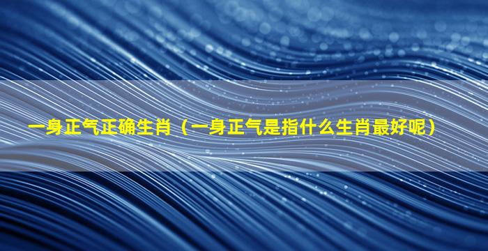 一身正气正确生肖（一身正气是指什么生肖最好呢）