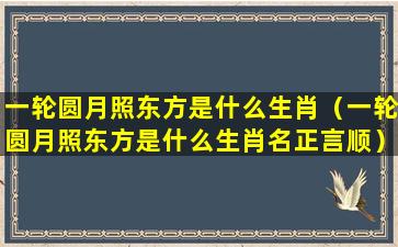 一轮圆月照东方是什么生肖（一轮圆月照东方是什么生肖名正言顺）