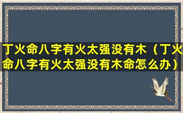 丁火命八字有火太强没有木（丁火命八字有火太强没有木命怎么办）