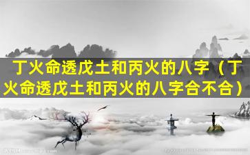 丁火命透戊土和丙火的八字（丁火命透戊土和丙火的八字合不合）