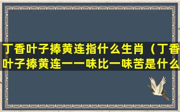 丁香叶子捧黄连指什么生肖（丁香叶子捧黄连一一味比一味苦是什么生肖）