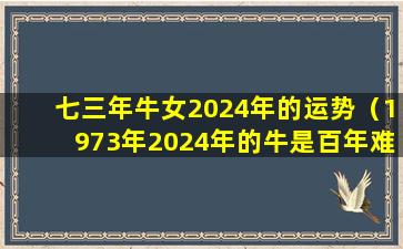 七三年牛女2024年的运势（1973年2024年的牛是百年难遇）