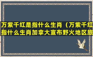 万紫千红是指什么生肖（万紫千红指什么生肖加拿大宣布野火地区旅行限制）