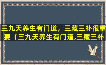 三九天养生有门道，三藏三补很重要（三九天养生有门道,三藏三补很重要）