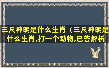 三尺神明是什么生肖（三尺神明是什么生肖,打一个动物,已答解析落实）