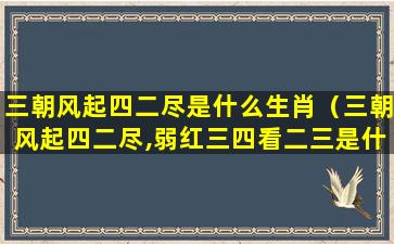 三朝风起四二尽是什么生肖（三朝风起四二尽,弱红三四看二三是什么生肖）